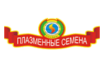 Плазменные семена